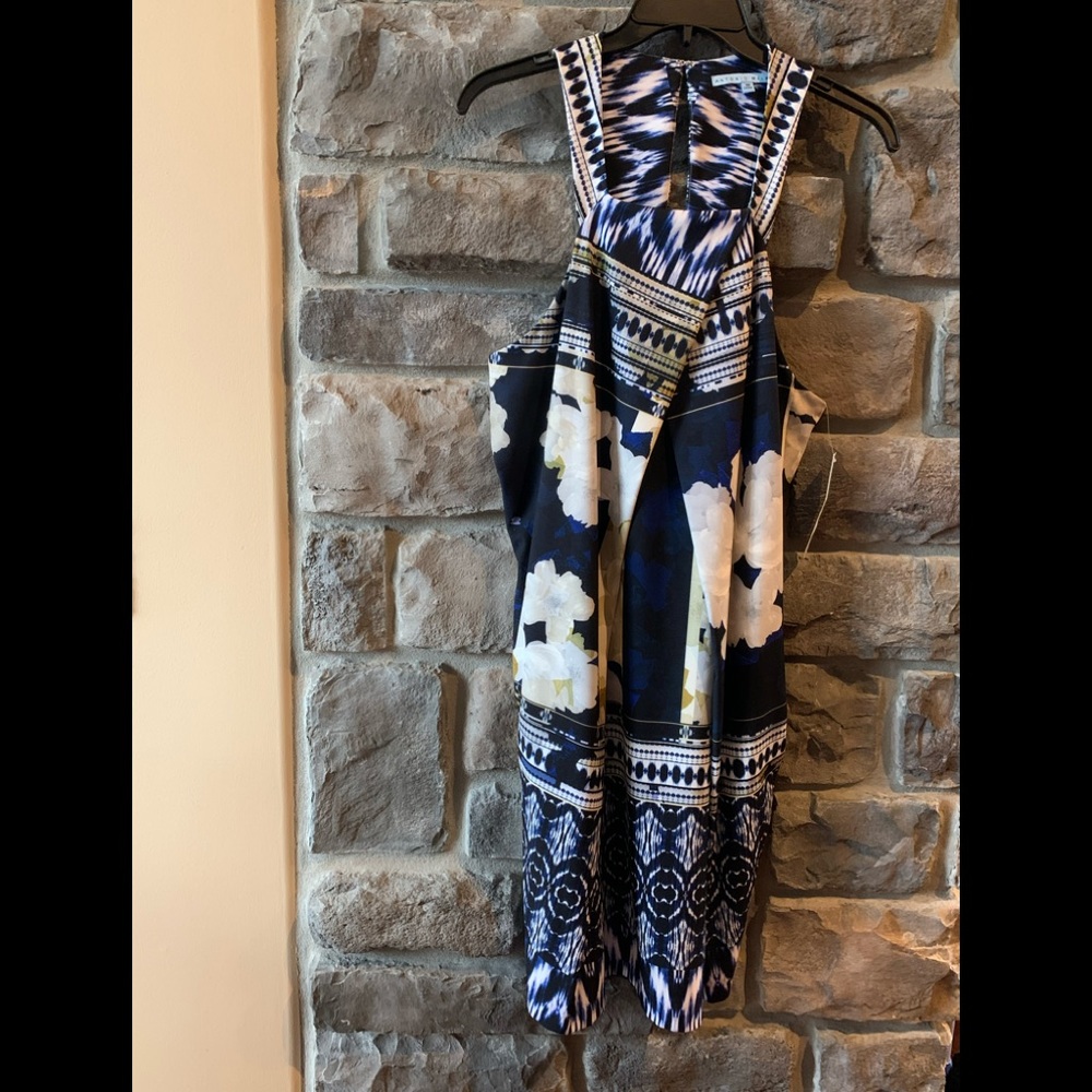A new beautiful sleeveless dress